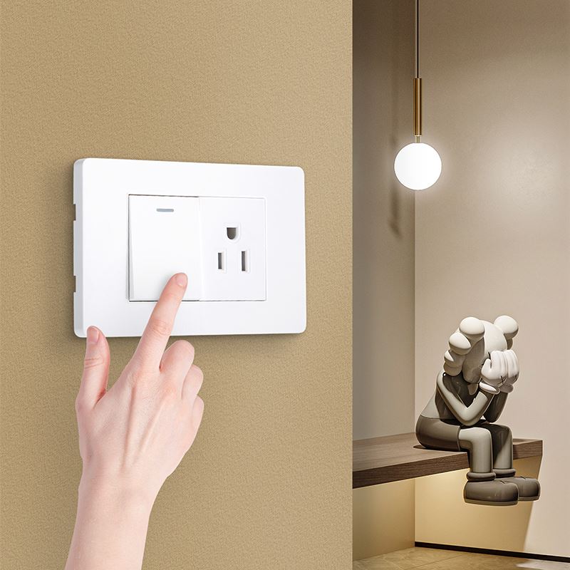2 Gang Dimmer And Rocker Switch